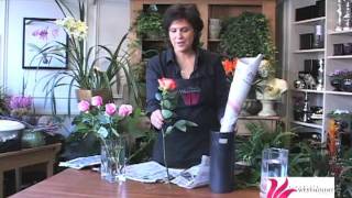 How To Fix A Droopy Rose