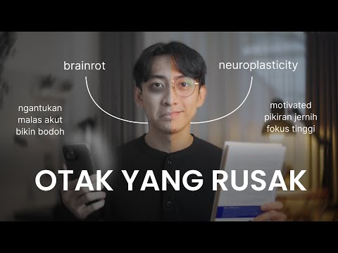 How to Restore Brain Function - brainrot, the power of neuroplasticity