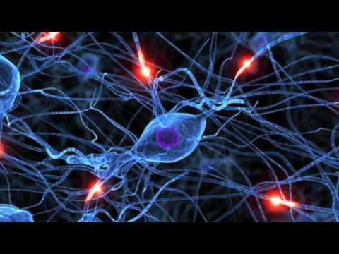 JULIO - ESTOY PENSANDO EN NO PENSAR (BASÓN DEL TETOS)