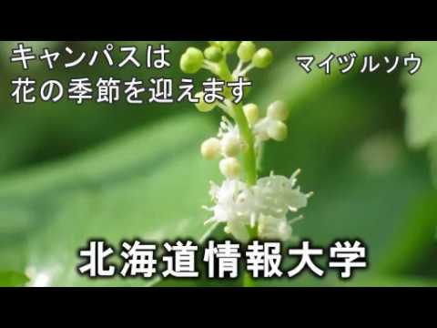 ＜2020年5月号＞HIUキャンパス便り