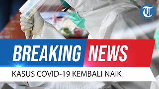 BREAKING NEWS Update Covid-19 6 Januari 2022: Kasus Covid-19 Kembali Naik, Tercatat 533 dalam Sehari