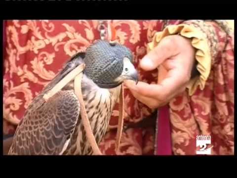 Gromo riscopre il Medioevo Antenna 2 TV 17082012