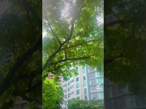 It’s a beautiful day 🤍 ~ Evan Mchugh