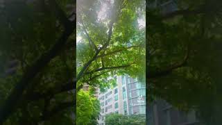 Download lagu It’s a beautiful day 🤍 ~ Evan Mchugh mp3