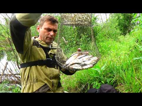 Удачная рыбалка. Чебак клюёт как из пулемёта. Река Лобва. Рыбалка в Свердловской области.
