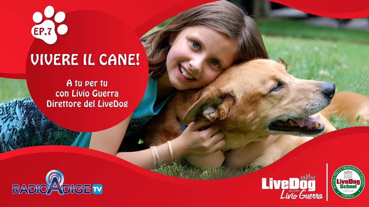 Descrizione dell'immagine