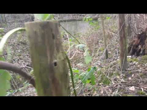 Neue "Quelle" Zollvereingraben Gelsenkirchen 11.02.2022