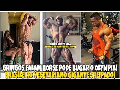 🚨HORSE BECOMES INTERNATIONAL NEWS AND BUG THE FOREIGN MEDIA | BREON ANSLEY IN OFF BROAD TOWARDS O...