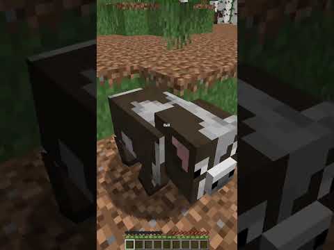 Insanely Cursed Minecraft Madness