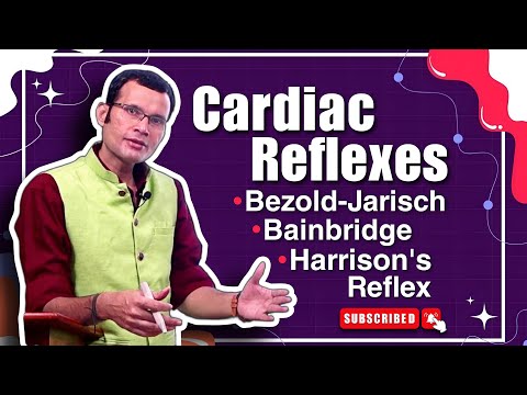 Cardiac reflexes ~ Bezold-Jarisch, Bainbridge, and Harrison's reflex | MBBS | Dr Vivek Nalgirkar |