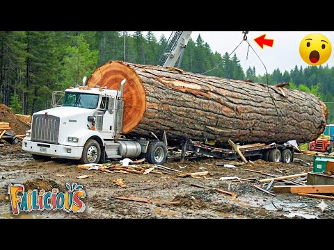 TOTAL IDIOTS AT WORK | Instant Regret Fails Compilation 2025 | Best fail of the week😂 #77