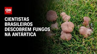 Miniatura do vídeo