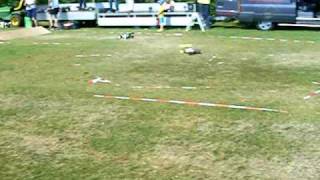 preview picture of video 'Car tuning event Drogeham RC cars demo'