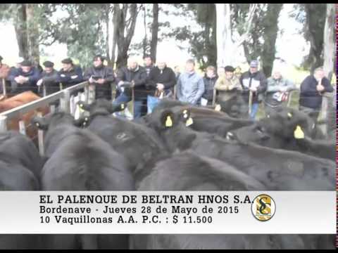 28-05-15 Venta de Vientres - El Palenque de Beltran Hnos S.A. - Bordenave