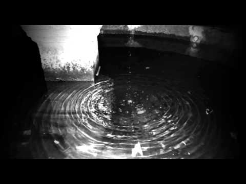 download lagu mp3 mp4 Gidon Kremer El Tango, download mp3 Gidon Kremer El Tango free download, download mp3 Gidon Kremer El Tango