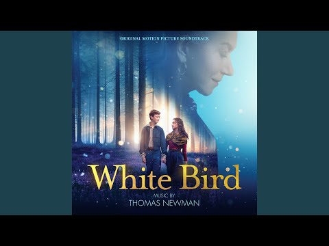 Video thumbnail for Little Bird