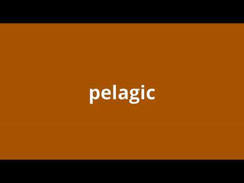 what is the meaning of pelagic