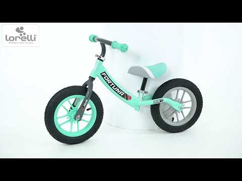 Миниатюра изображения товара Беговел Lorelli Fortuna Air / 10410080002 (серый/зеленый)