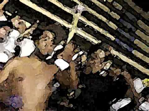 "Esos cagones toda la vida van de la mano de la policìa" Barra: Trinchera Norte &bull; Club: Universitario de Deportes