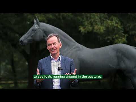 Gestüt Fährhof: Wo Tradition und Zukunft der Pferdezucht verschmelzen