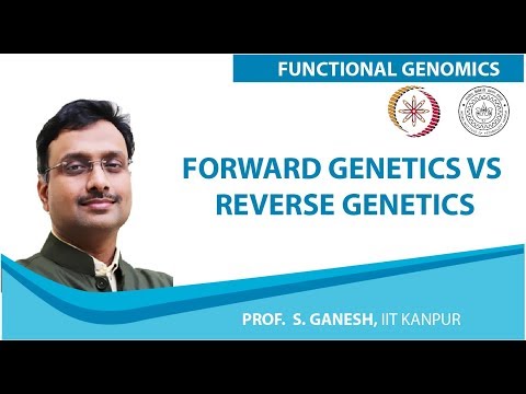 Forward Genetics vs Reverse Genetics