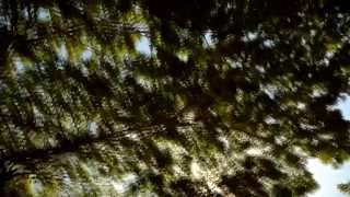 Kasama kang Tumanda - Daniel Padilla