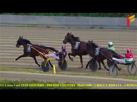 IV Corsa del 6 Marzo 2022 - 5 Anni ed oltre - Metri 1600