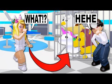 adopt carlaylee steals doctors