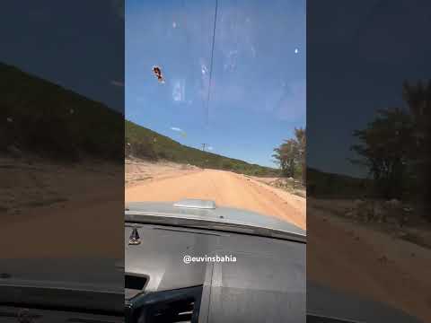 Estrada de Catolés, Abaira, Bahia
