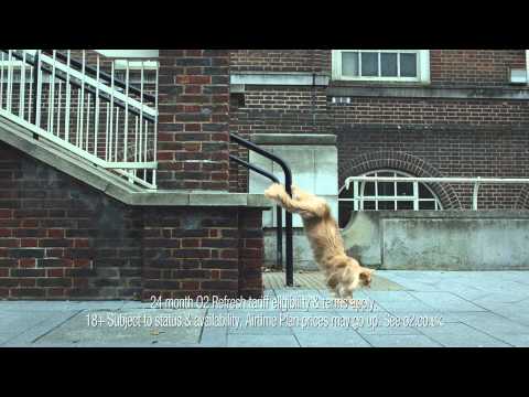 O2 Sale Race - 20" AD