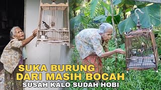 Download lagu Manfaat Pelihara Burung yang Jarang di Ketahui Banyak Orang mp3 Download lagu Manfaat Pelihara Burung yang Jarang di Ketahui Banyak Orang mp3