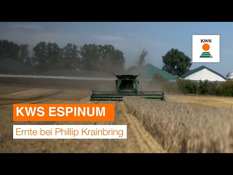 KWS ESPINUM – Ernte bei Phillip Krainbring