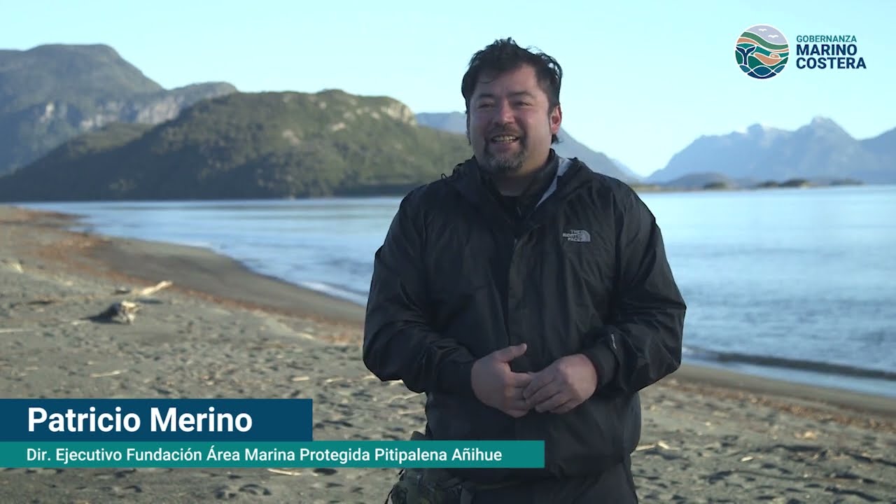 Patricio Merino