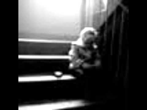 Peter Van Crow " i oby nie bylo tak "