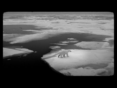 Noiseshaper - We Wanna Live (feat. Simple Straw) | Official Video