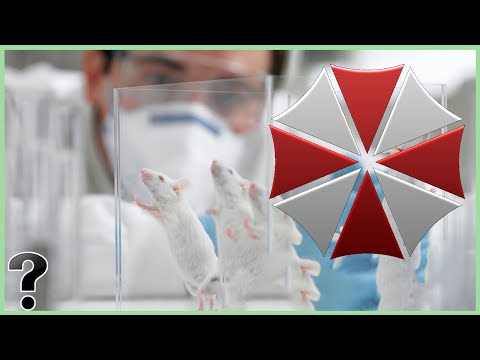 download lagu mp3 mp4 Umbrella Company, download lagu Umbrella Company gratis, unduh video klip Umbrella Company