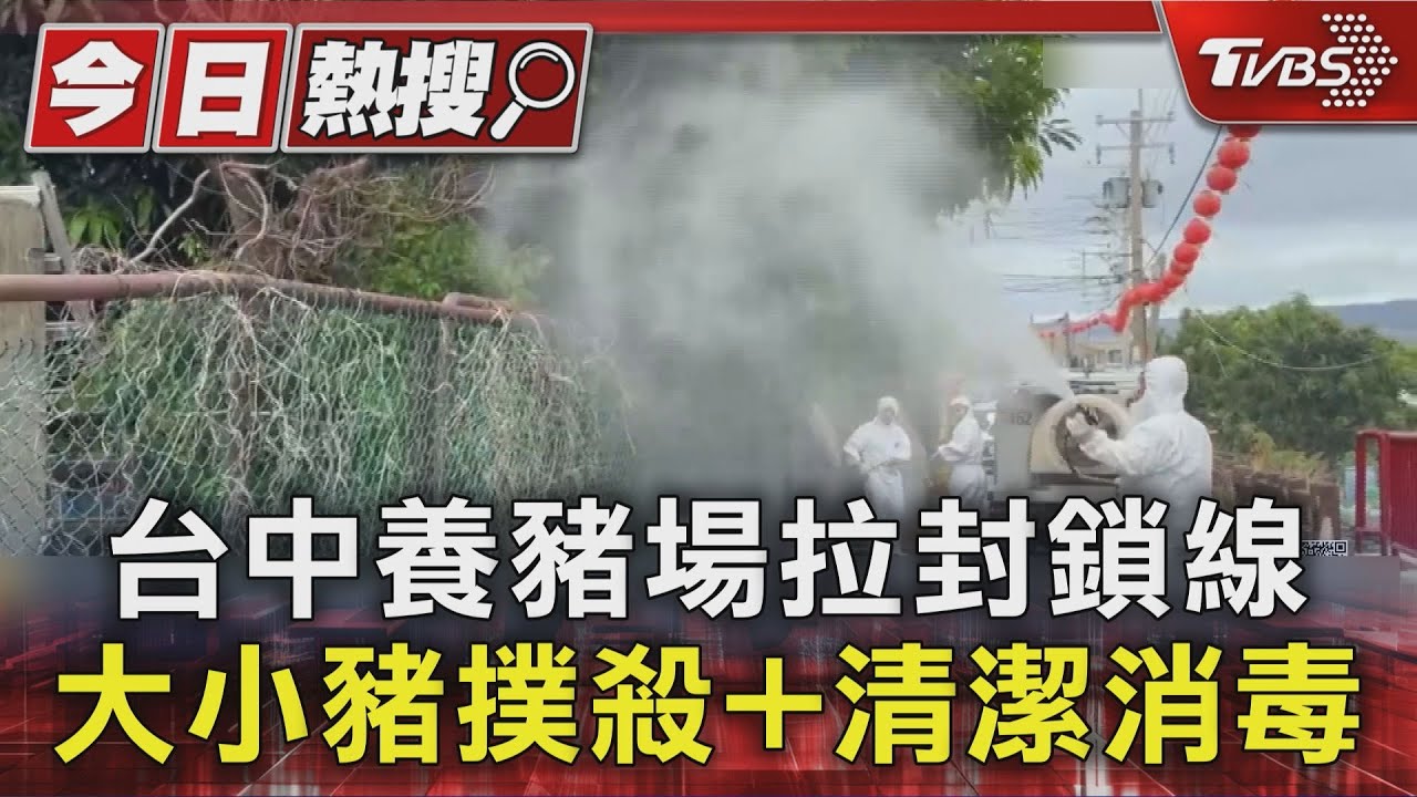 養豬場疫情拉警報！非洲豬瘟再現　3公里內緊急管制
