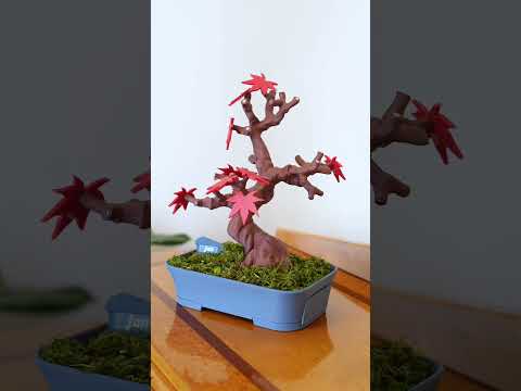 10 Most Popular Plant 3D Prints