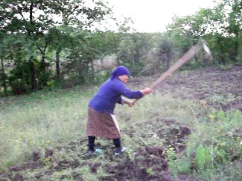 agricultura_ecologica_la_Ibanesti