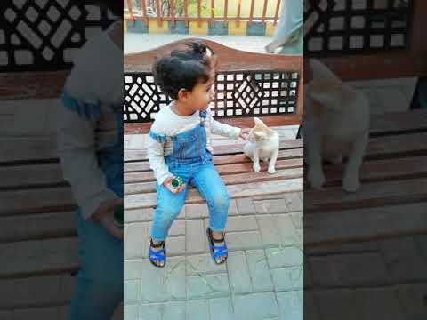 Aroosh playing with lovely Cat.