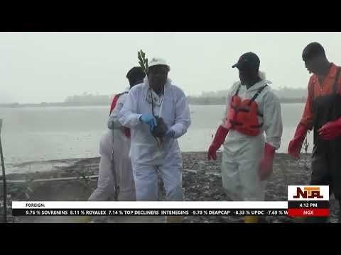 Mangrove Restoration Initiative in Ogoni Land a Viable balance ...