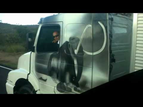 mais um talento,qualidade gemark 100% galera do gesso!