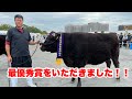 【神戸牛】第106回兵庫畜産共進会へ行っていきました