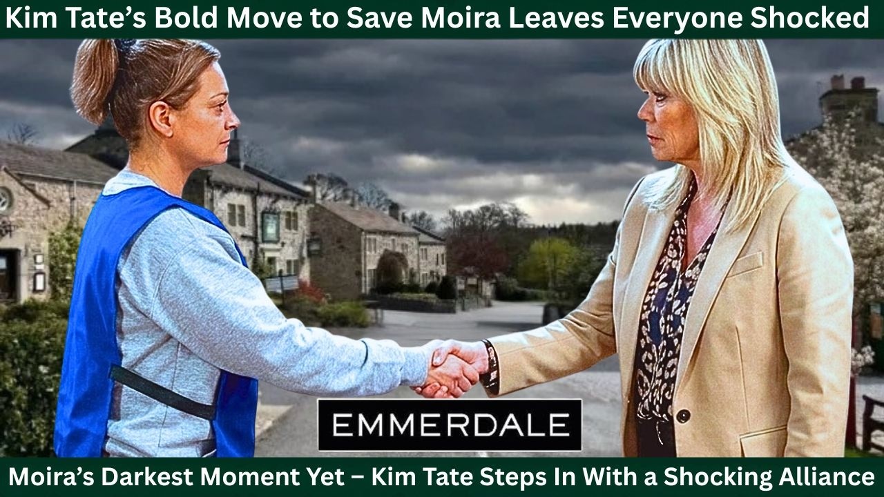 YouTube Thumbnail Downloader FULL HQ IMAGE