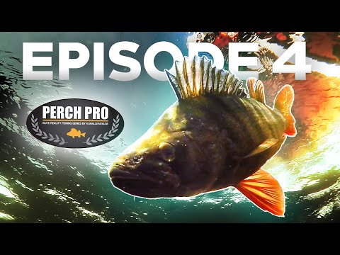 PERCH PRO 7 - Episode 4 (Deutsche Untertitel)