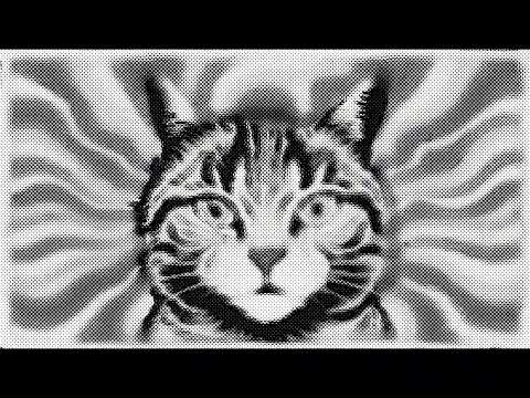 Bonifacy - Kot napłakał