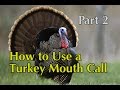 Turkey Calling 201 Putt Purr Yelp And Cut