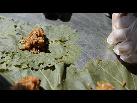 How To Roll Greek Dolmades - Stuffed Vine Leaves | The Real Greek