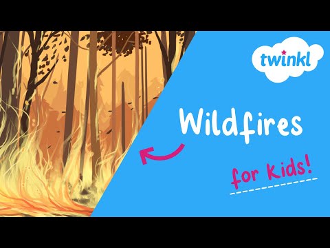Wildfires for Kids | What Causes a Wildfire? | Wildfire Safety Rules | Twinkl USA