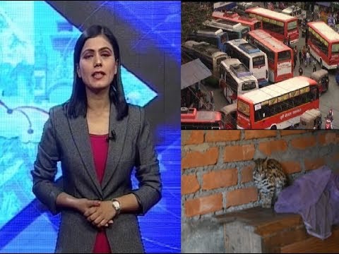 व्यस्त धरानलाई अस्तव्यस्त बनाउँदै बसपार्क-PURBELI AAWAZ